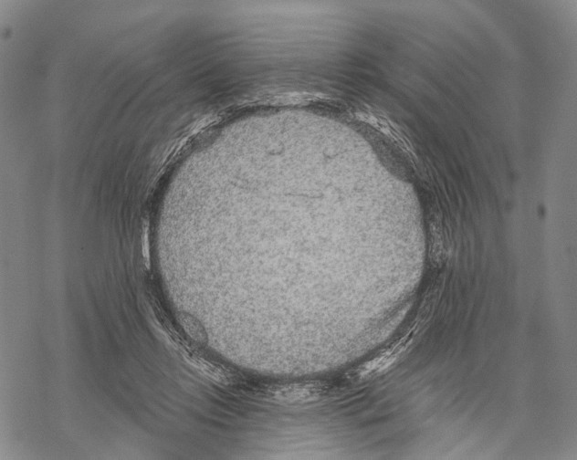 X0000068260358200605191809