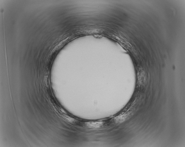 X0000068260359200605191809