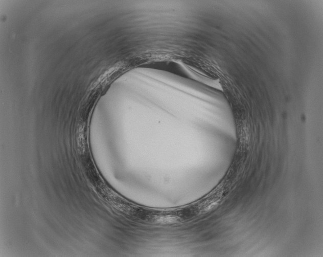 X0000068260360200605191809