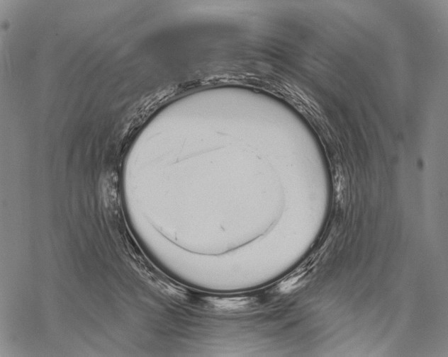 X0000068260361200605191809