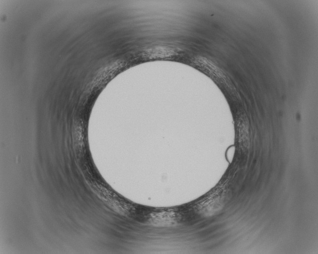 X0000068260362200605191809