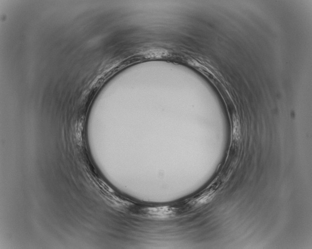 X0000068260363200605191809