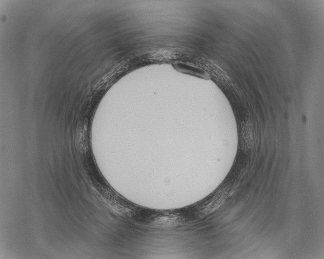 X0000068260364200605191809