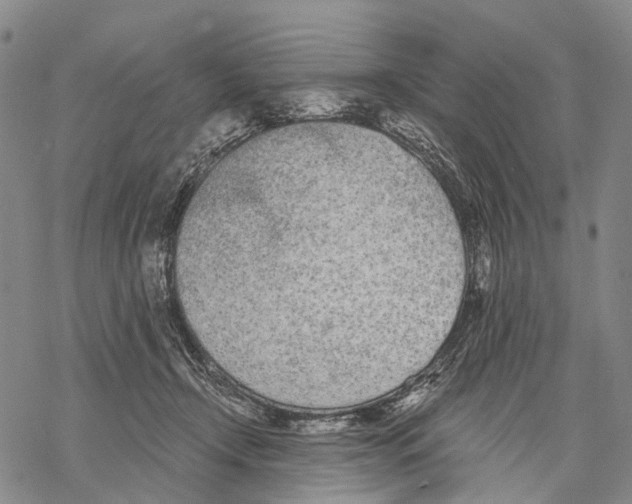 X0000068260366200605191809