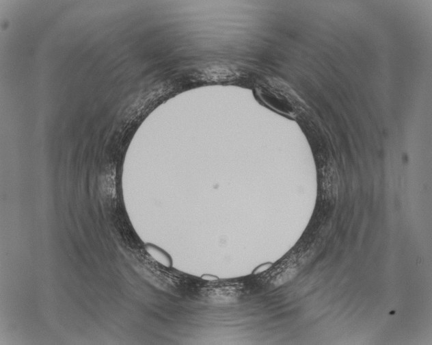 X0000068260368200605191809