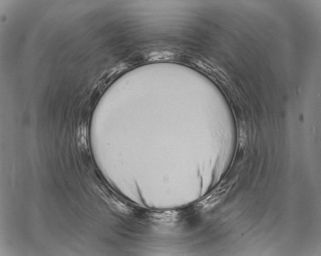 X0000068260369200605191809