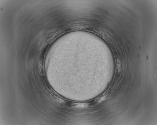 X0000068260371200605191809