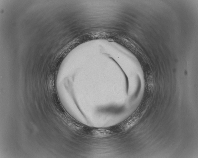 X0000068260372200605191809