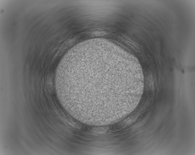 X0000068260373200605191809