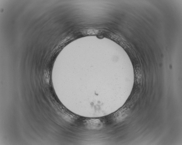 X0000068260374200605191809