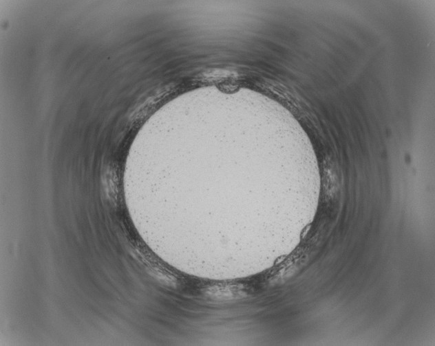 X0000068260375200605191809