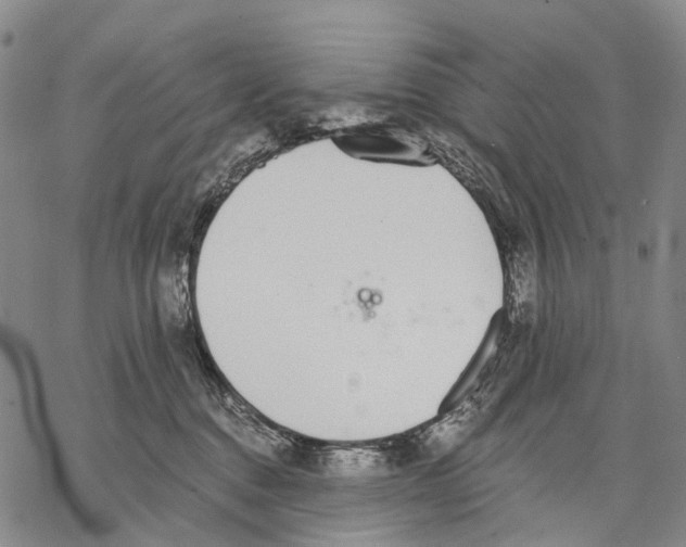 X0000068260376200605191809