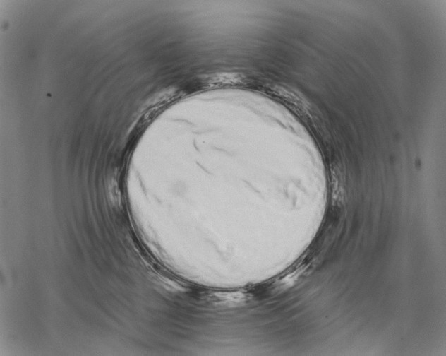 X0000068260377200605191809