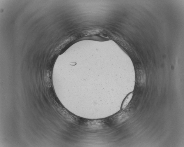 X0000068260378200605191809