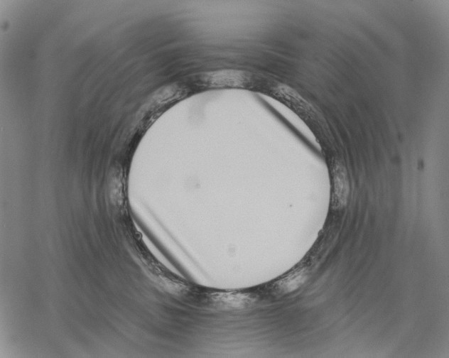 X0000068260379200605191809