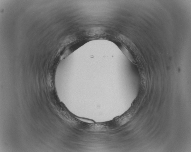 X0000068260380200605191809