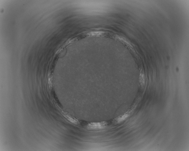 X0000068260381200605191809