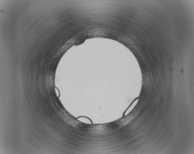 X0000068260382200605191809