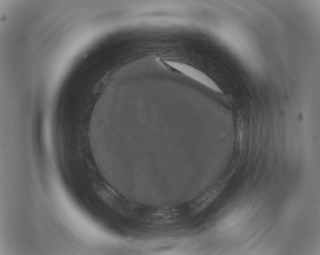 X0000068260383200605191809