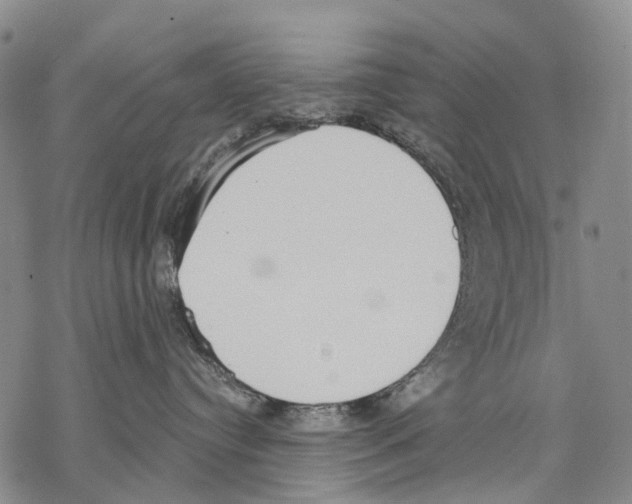 X0000068260384200605191809