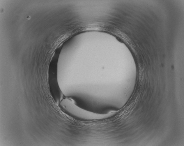 X0000068260385200605191808