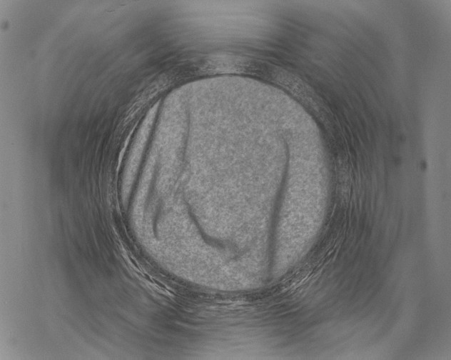 X0000068260386200605191808