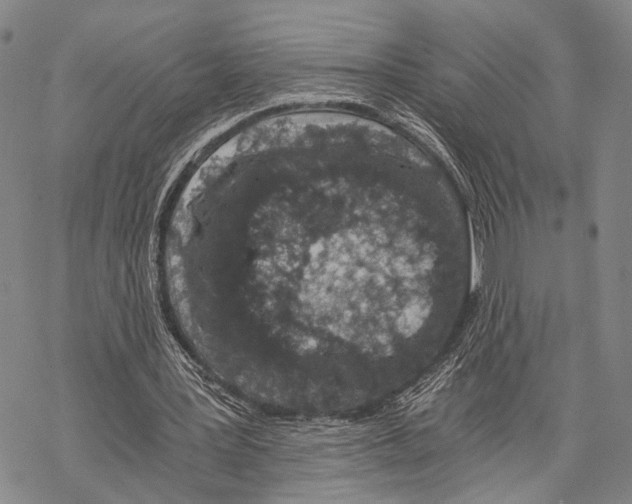 X0000068260387200605191808