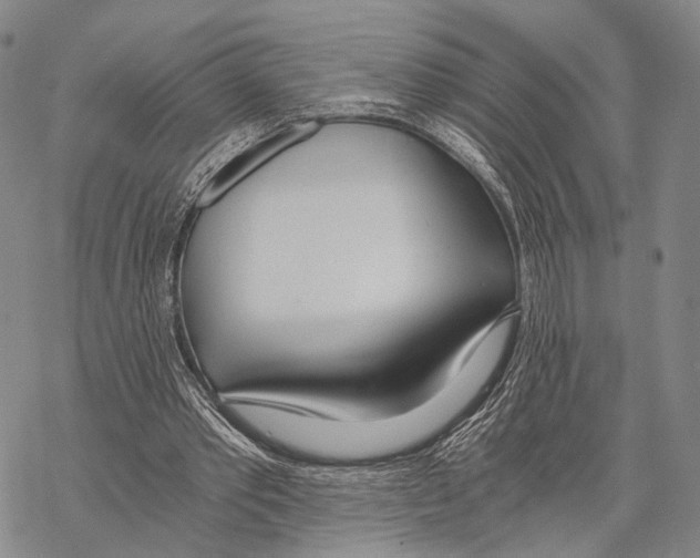 X0000068260389200605191808