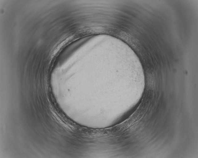 X0000068260390200605191808