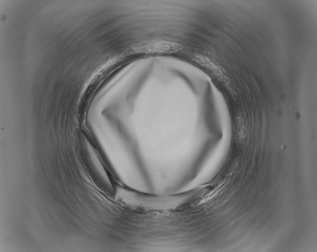 X0000068260392200605191808