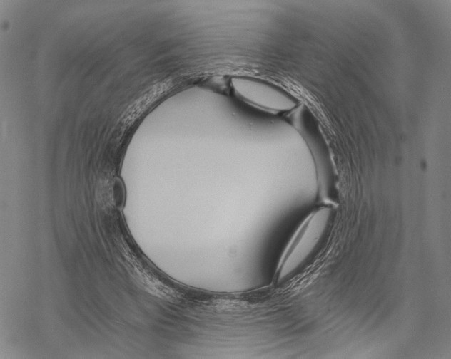 X0000068260393200605191808