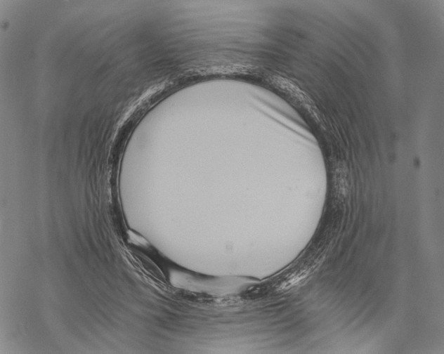 X0000068260395200605191808