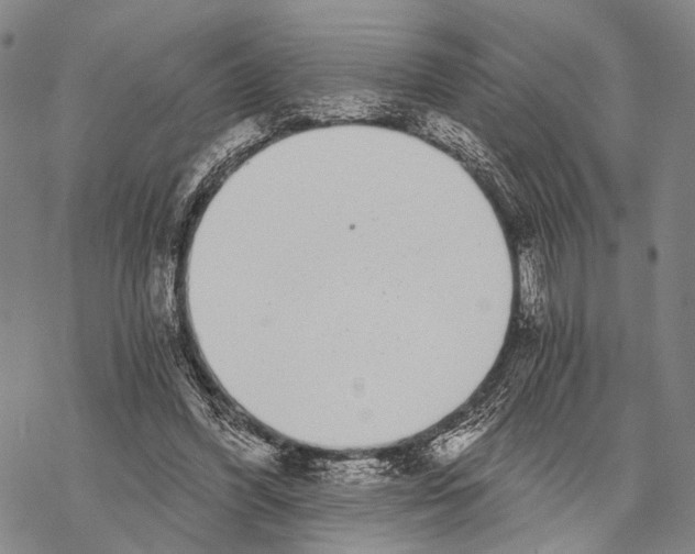 X0000068260396200605191808