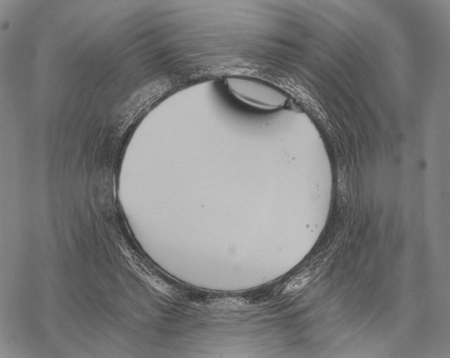 X0000068260397200605191808