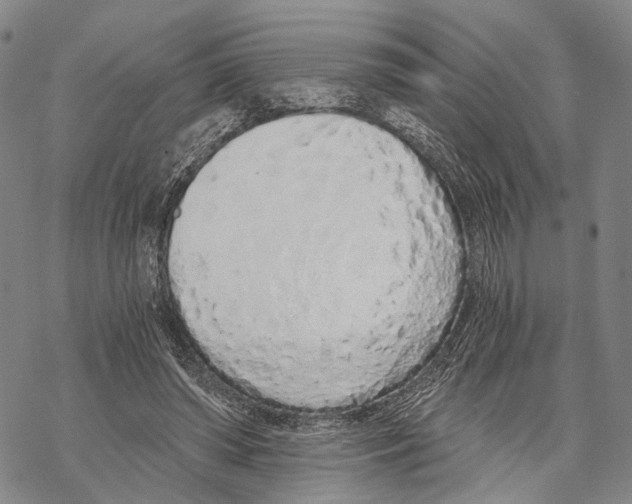 X0000068260398200605191808