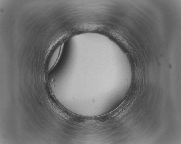 X0000068260399200605191808