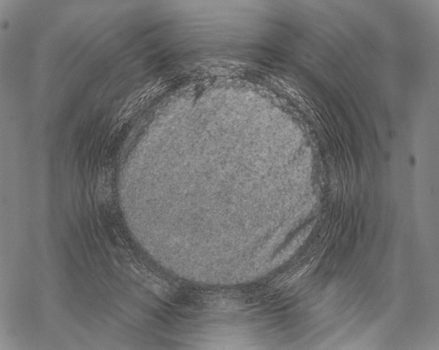 X0000068260402200605191808