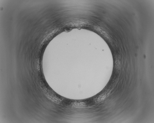 X0000068260403200605191808