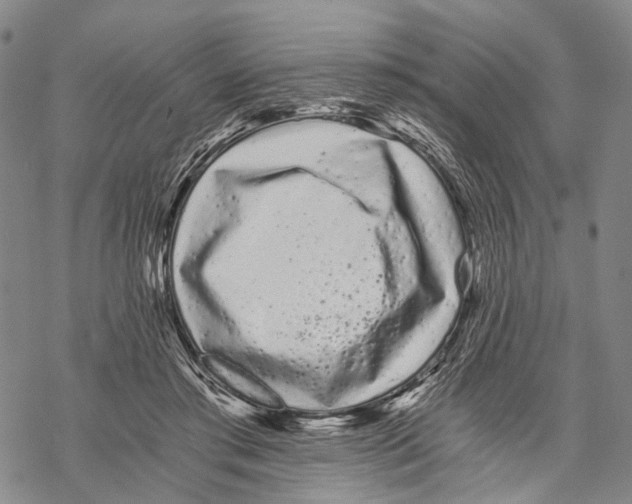 X0000068260405200605191808