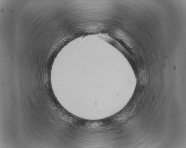 X0000068260407200605191808