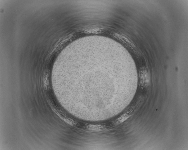 X0000068260408200605191808