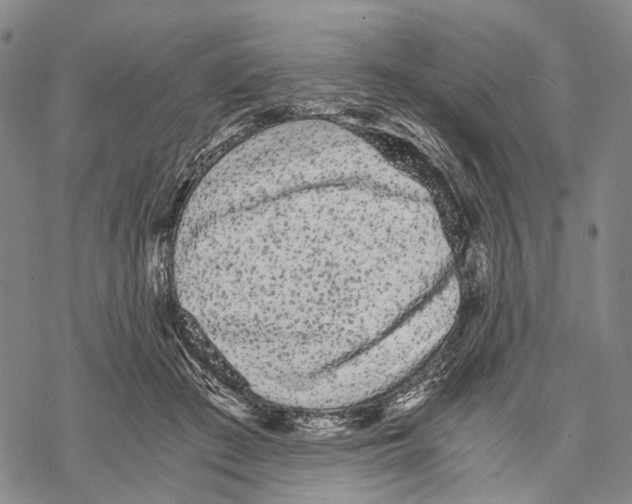 X0000068260409200605191808