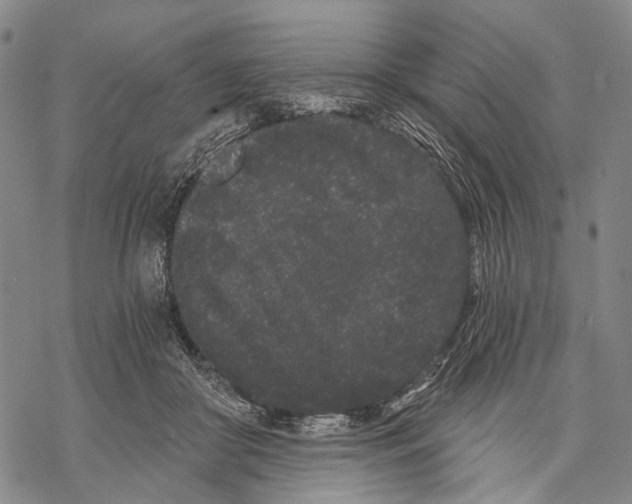 X0000068260410200605191808