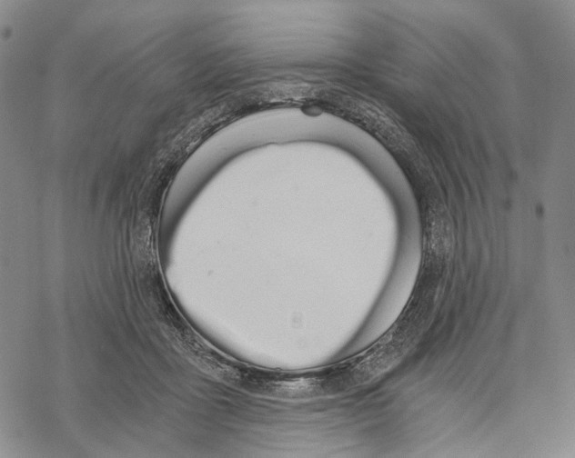 X0000068260411200605191808