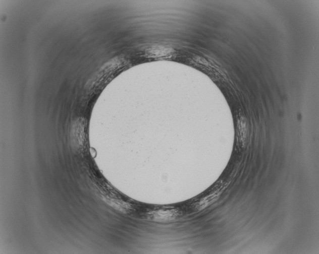 X0000068260412200605191808