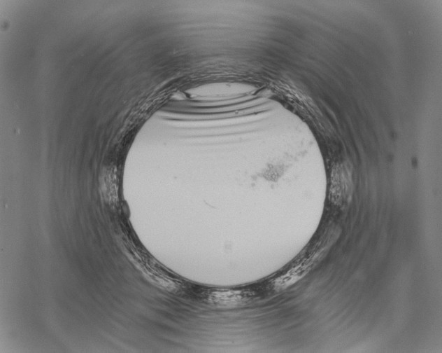 X0000068260413200605191808