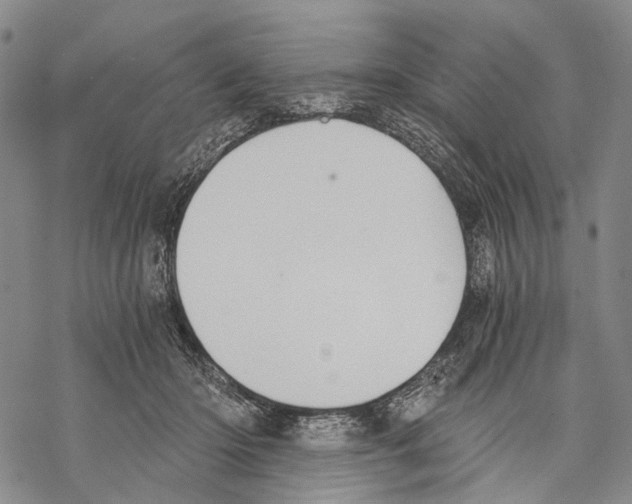 X0000068260414200605191808