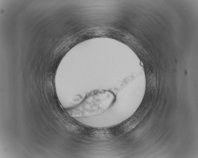 X0000068260415200605191808