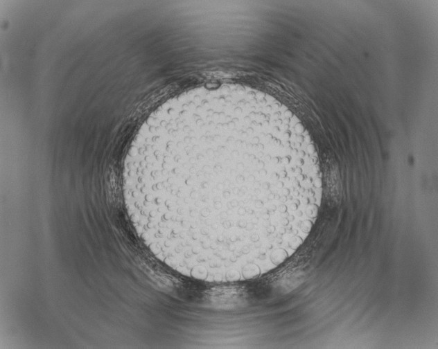 X0000068260418200605191808