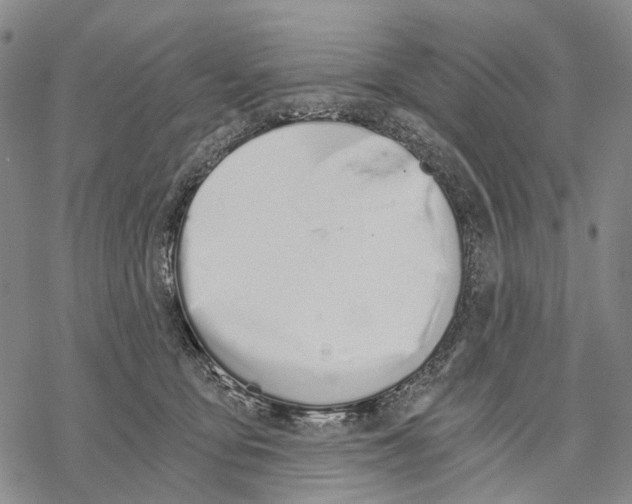 X0000068260419200605191808